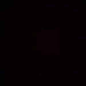 Meet your Posher, Riley